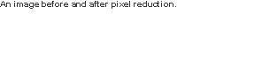 An image before and after pixel reduction.  